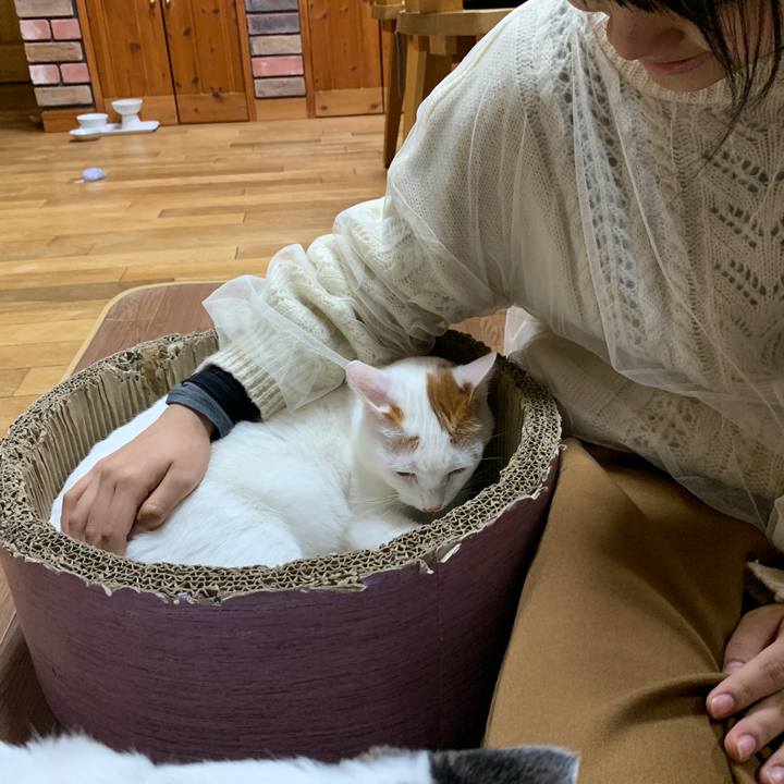 Bdf9d1bb c17c 469d 9fd4 ae367accd611 1643449410673