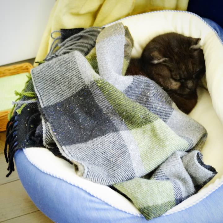 Bdf9d5c9 e4d7 4747 b6d2 3bab96a3c26d 1644421271305