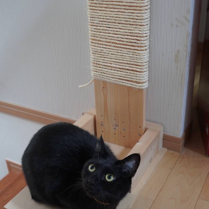 Bdf9e772 9e1f 421b abf1 bdf644124ad4 1622639250400