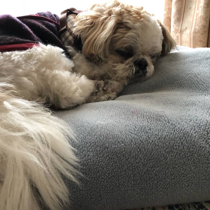 Bdfa166c 7ef2 4eff 88ab bf084fe615b5 1522964455764