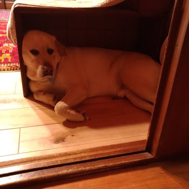 Bdfa3908 3c04 47ff ab37 15c8bfccd490 1583656870527