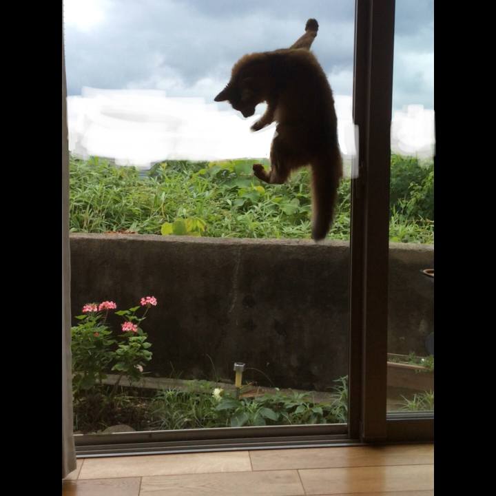 Bdfa61c3 c89f 4f01 8853 4746b7e0833b 1625279097860