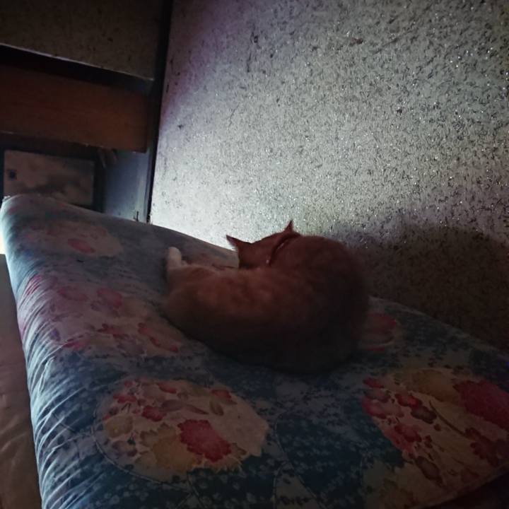 Bdfa6eca 80c4 43e3 ab2b 005e5b1aed6b 1598663291855