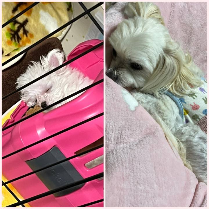 Bdfa751c 9398 4e1d 9d14 a6022f29d294 1701409935110