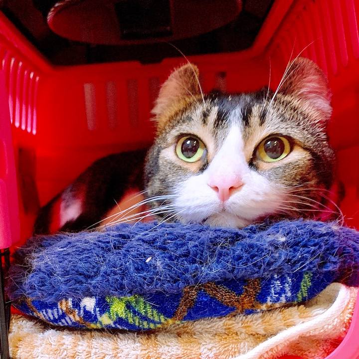 Bdfa890e a2ad 4806 8300 49813b0b1a52 1551449413584