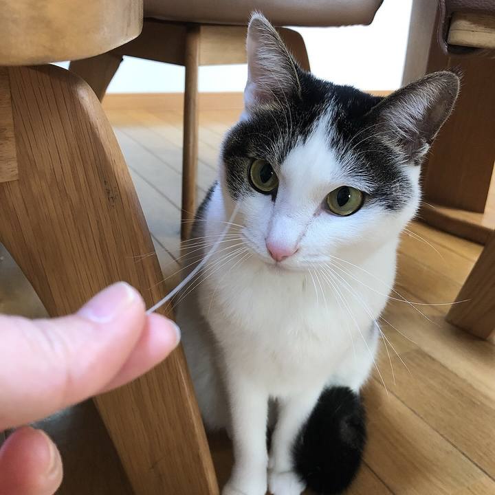 Bdfa9612 d6ea 42eb bcf3 3304ed832b19 1670201000062