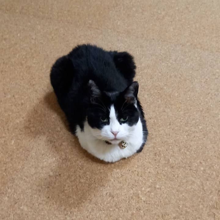 Bdfaa2f6 94a7 48d3 a18a a7728172f48a 1630668678436