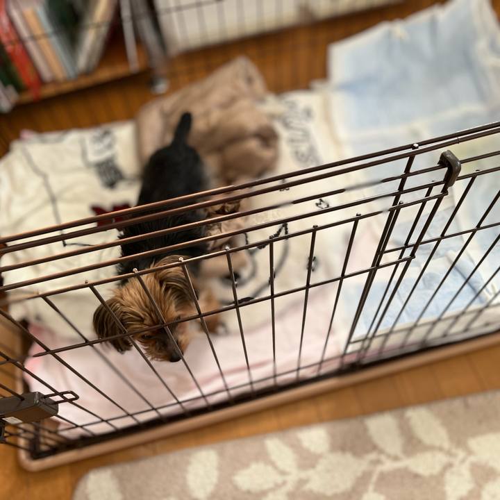 Bdfaa785 d2b7 400e a101 b33af8fa2920 1644102588130