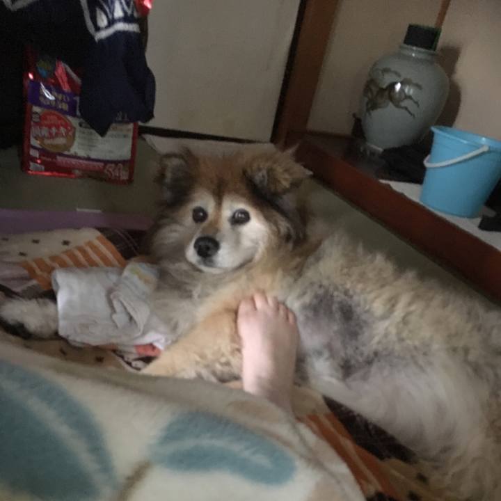 Bdfac8c7 bfd4 4056 80f5 947e56a0b599 1554170673785