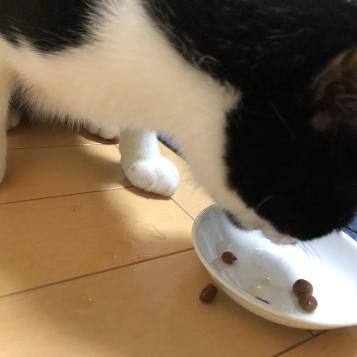 Bdfae0e0 f5f5 4e2a 8280 1bcd50cdfbee 1535893138355