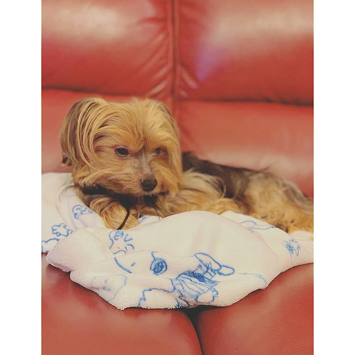 Bdfae249 a81d 475c 971e 0cf8985e0c46 1570878472427