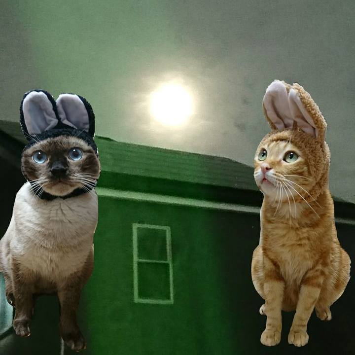 Bdfae34a bb43 41c3 90fb ff7b3b46f508 1537795221110