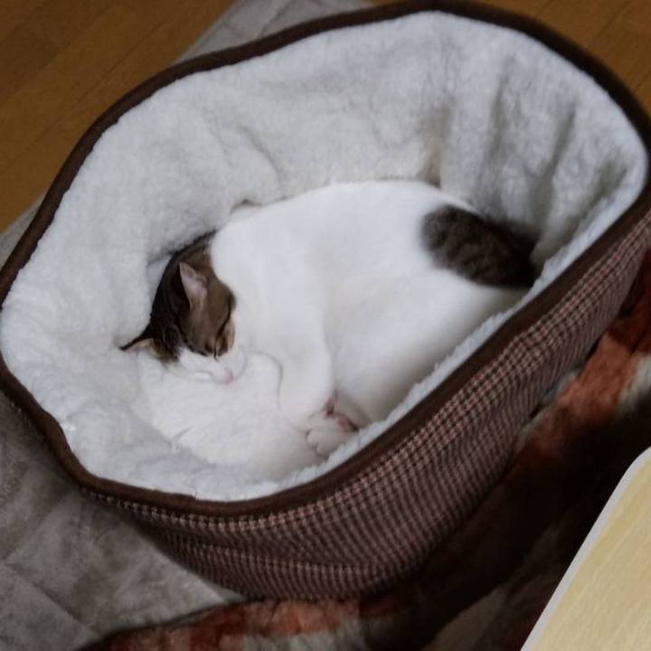 Bdfb14e1 2fdb 4778 9d34 74b5e0202fb7 1701432158291