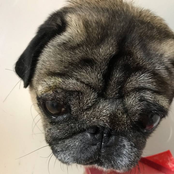 Bdfb6166 1b3a 4b2d a0c3 6161c967d27a 1603334982047