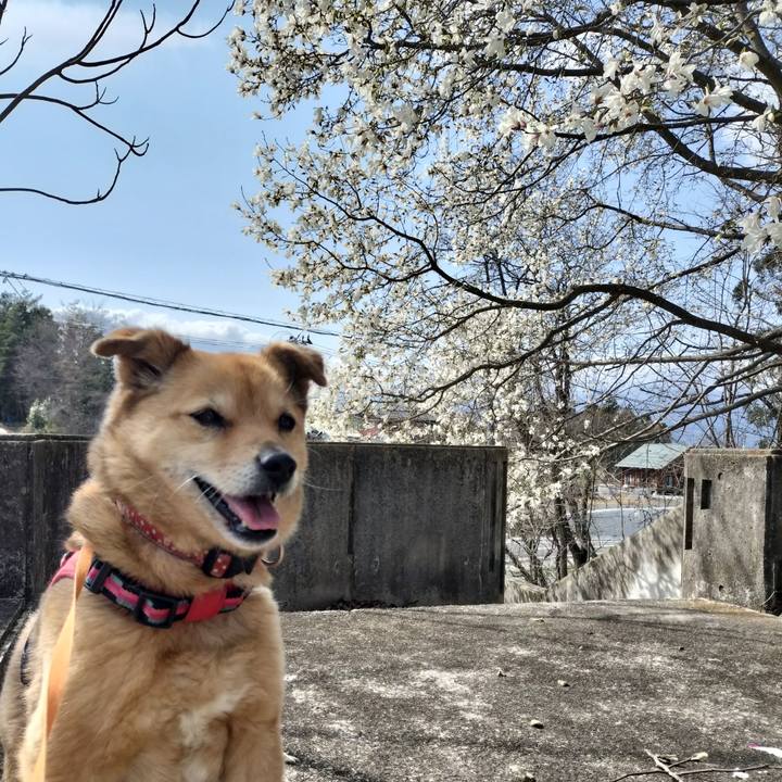 Bdfb8baa 9daa 4fe6 95bb 88c57b0cf9a6 1744200107701