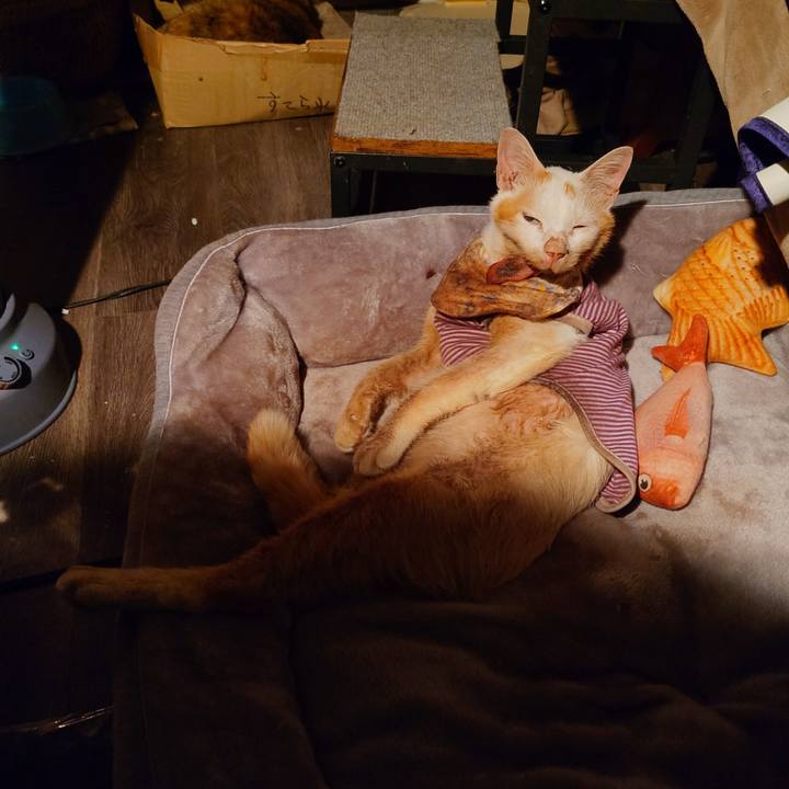 Bdfbba1e 2f51 4be4 b1a7 c09dc471c538 1772976628498