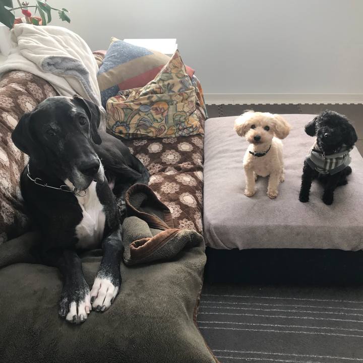 Bdfbf993 ca41 43e4 9b02 b37beeffa4ba 1511909727351