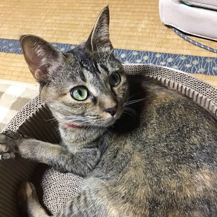 Bdfc0de1 7cd4 4571 8e14 7b21c7d4dd46 1604137073203