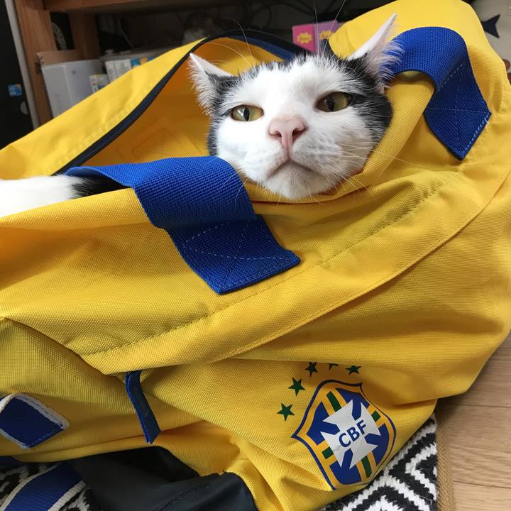 Bdfc247f d333 4043 93f5 b0cef6b98ea7 1529361205655