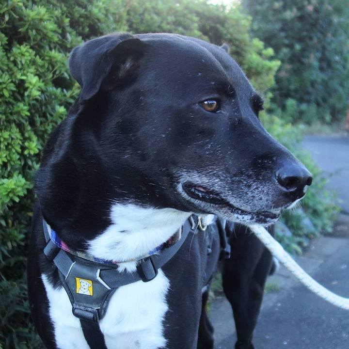 Bdfc79d6 eb8c 4346 b878 62d2dd475ddd 1664326295956