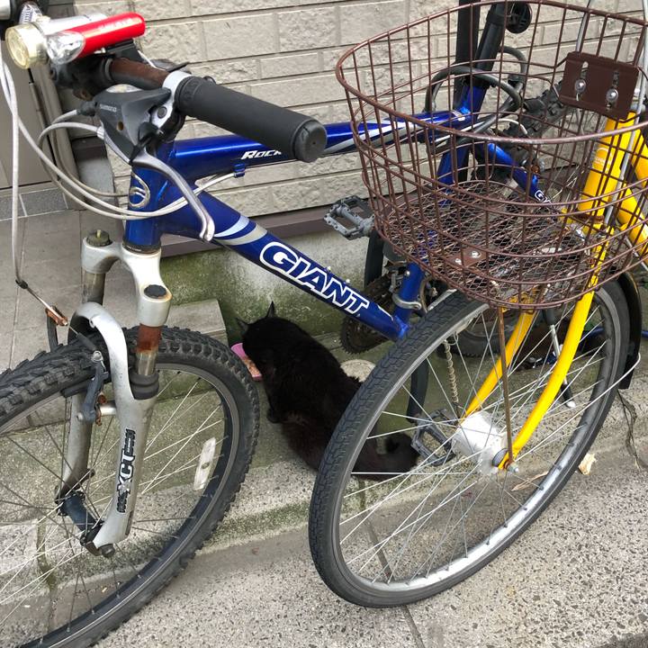 Bdfc823c 1a25 4487 bea1 c4b41c2c2a03 1560856936733