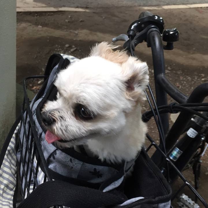 Bdfd66d6 25a0 4b23 af46 d8f869014b42 1565949714177