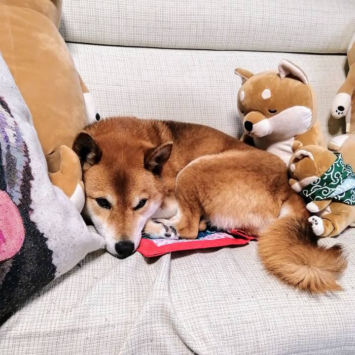 Bdfdb9e9 eee7 4146 829d 7b6bc3b6bb5e 1583484619946