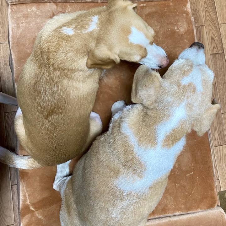 Bdfe2381 3f89 4d9e 9139 2a19634554c0 1601904369523