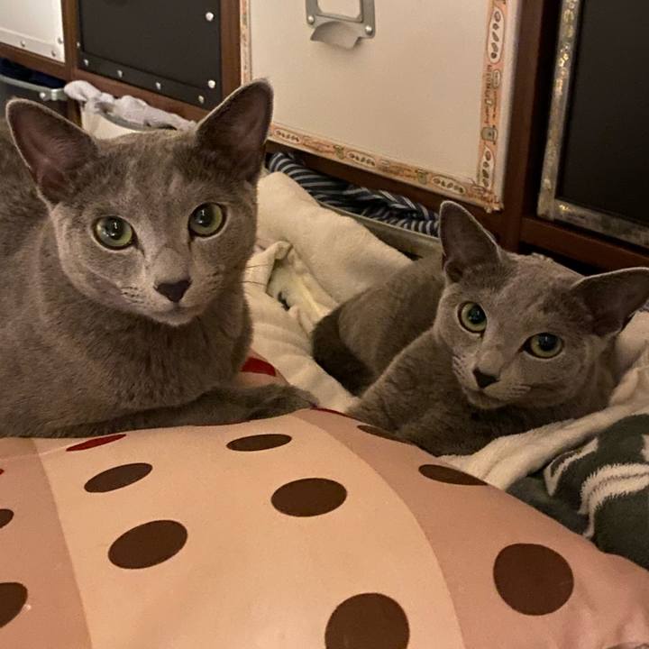 Bdfe736d ec29 4add 803a 7459ebbbdce9 1626951442632