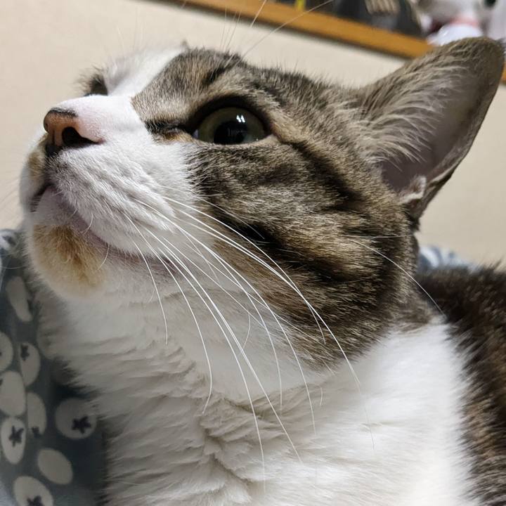 Bdfe8740 9392 492f a008 eeb9cccca192 1677063177696