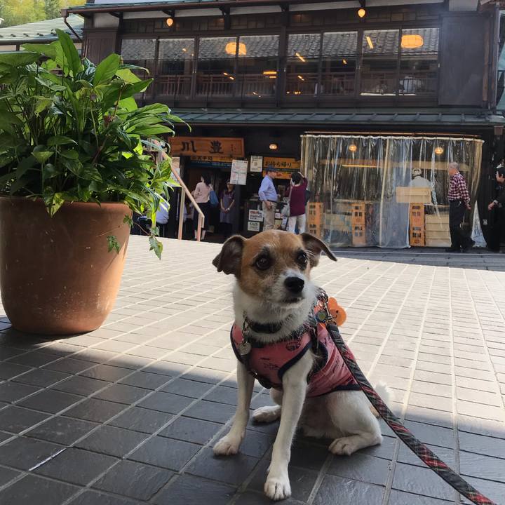 Bdfe93f1 3070 4895 a9b1 ba3b2a890b59 1538809322744