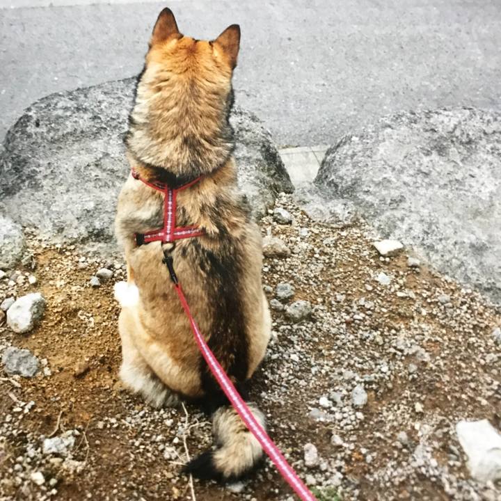 Bdfe93f3 8107 44ac 847e 13630190b559 1515336855623