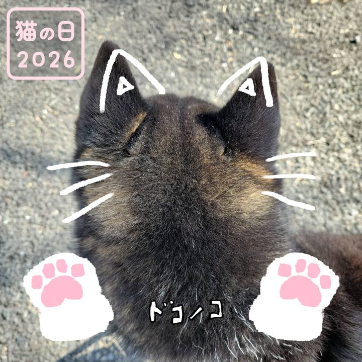 Bdff0ad7 6061 4051 a883 7322e8645e95 1771719112137