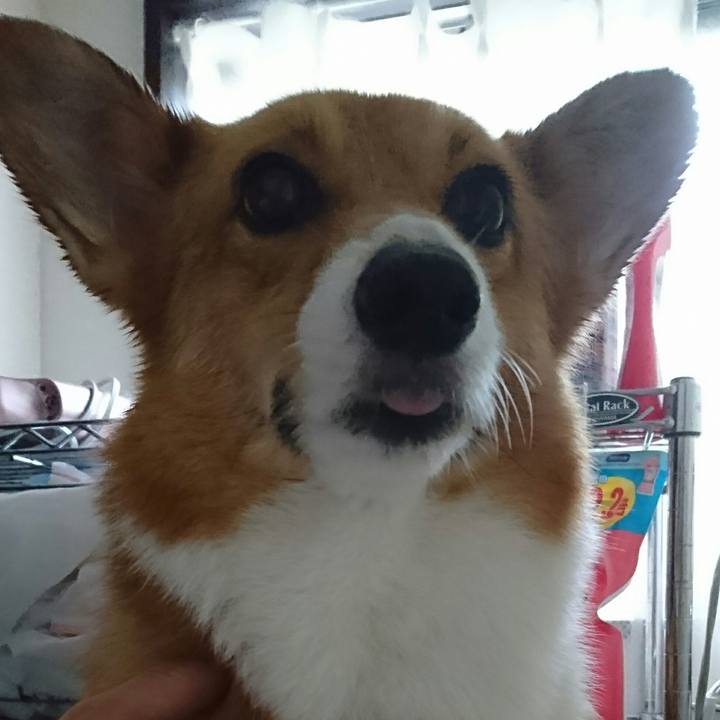 Bdff0aeb 2d6c 408a 8f62 2250715dce07 1533463095421