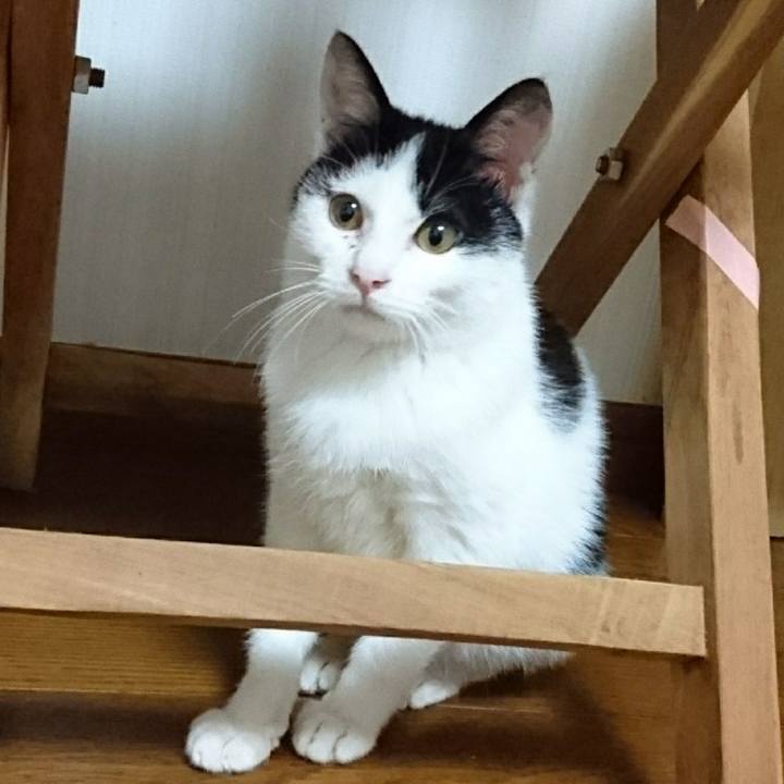 Bdff11c4 8085 4444 b768 5e35cd357f9a 1522929214859