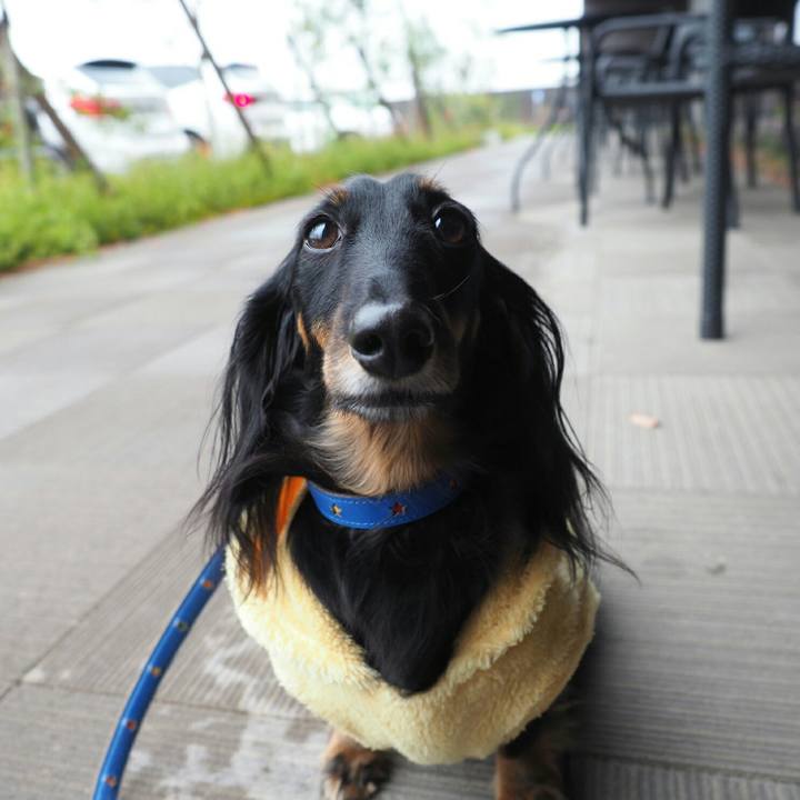 Bdff249f 71d5 4f2b ad89 548ef5f3e586 1574057320840