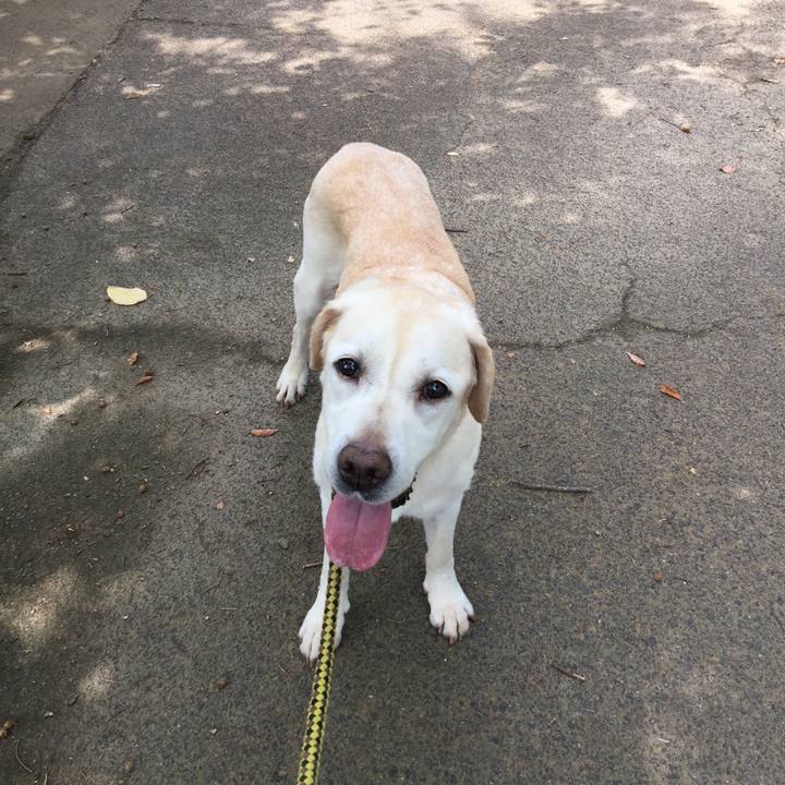 Bdff2da5 78c2 45f8 b91a ea3bf139af49 1566993816162