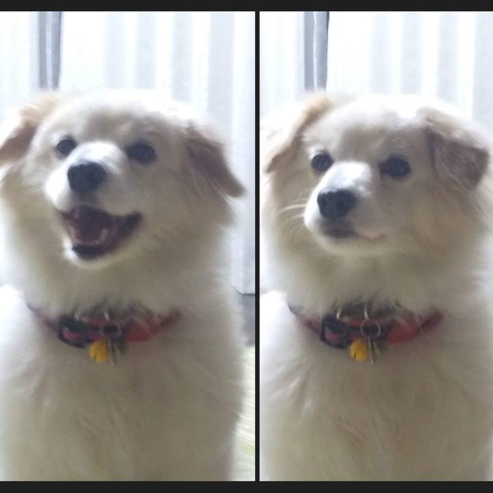 Bdff657b becc 4cbe 935f c68d03866b97 1676087822055