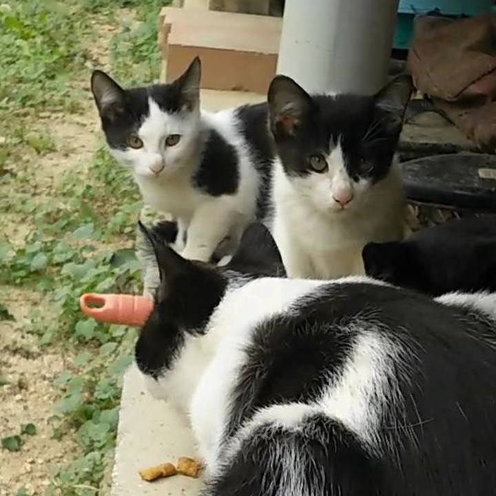 Bdff6774 b65d 410f a51a 620b4ccb221d 1540961668857