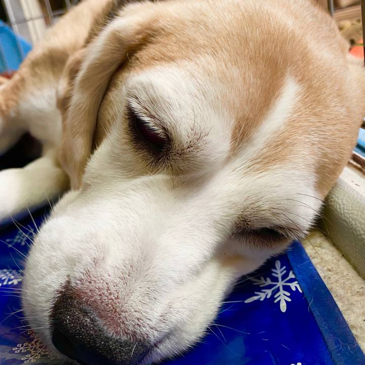 Bdff6db4 83f0 4e8f 8c89 712d02117428 1597546995885