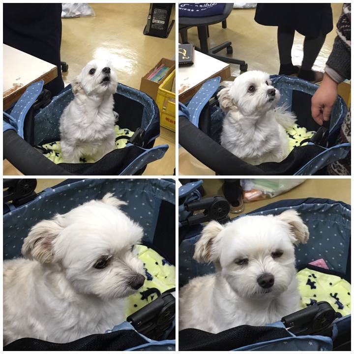 Bdff9c29 7683 44b1 9a8a 1b7cf6af5b6f 1545994319322