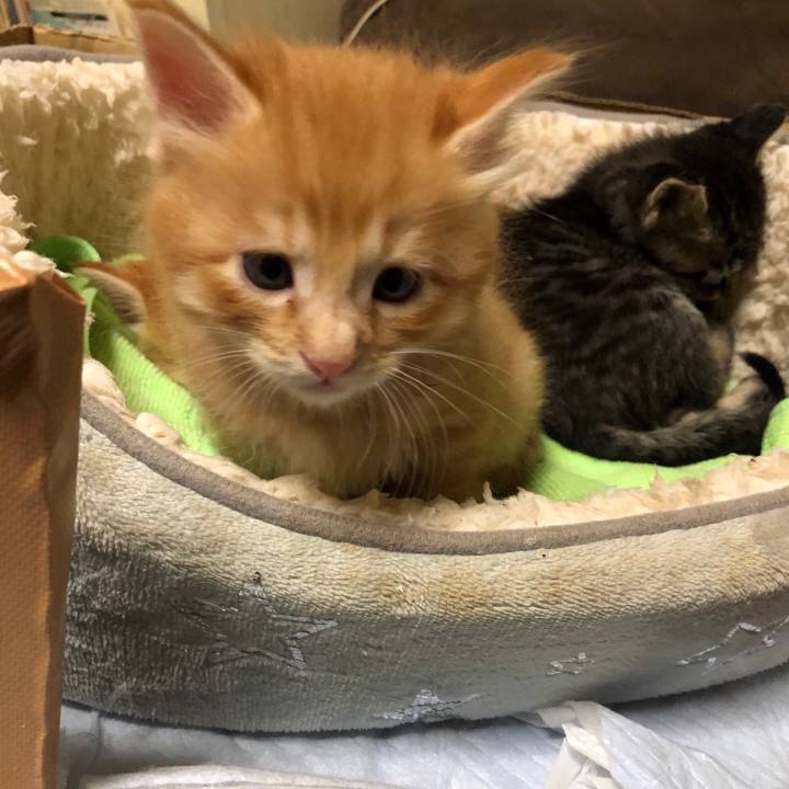 Bdffd566 3618 4505 b733 9bf1176b196e 1570722716816