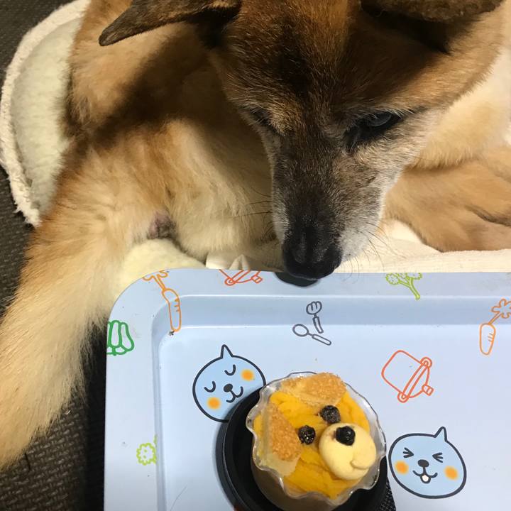 Be004311 9483 40f4 a374 2a47e9993c3b 1561892053818