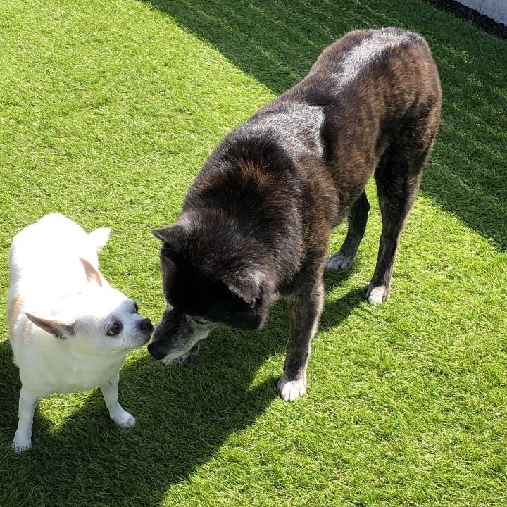 Be005f82 0ffc 4f4a 8590 48d2591b0583 1631940180644