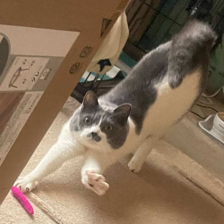 Be008846 4f62 45ca 8bb9 f0fd945f69ac 1742371911278