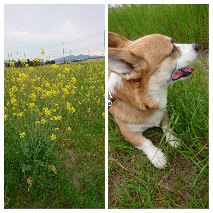 Be012ec4 67a1 4948 bc13 e044cce7f69e 1586645430414