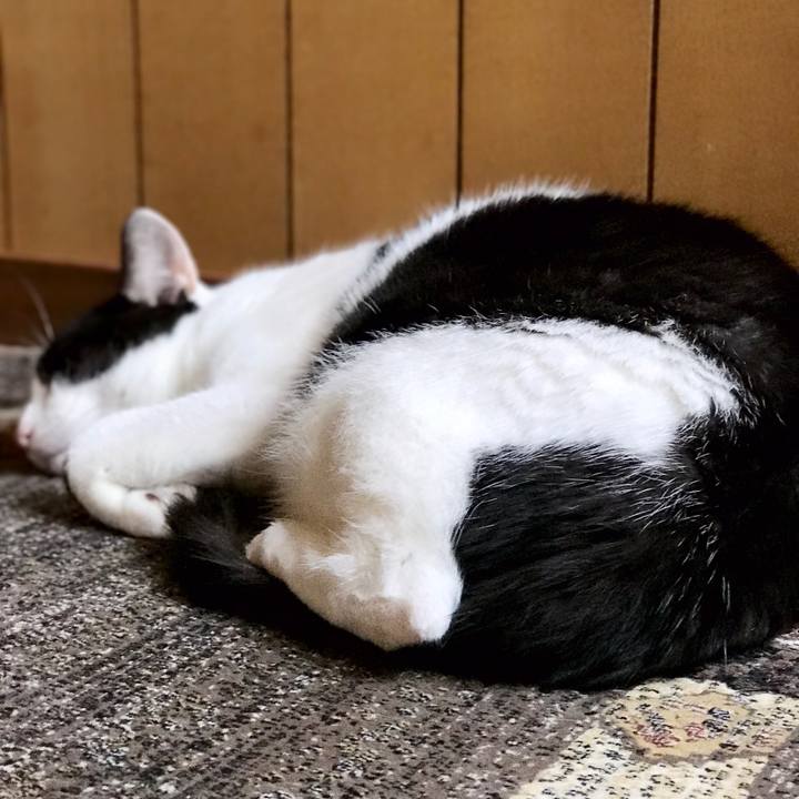 Be016100 4ee7 4c0c aef5 cc5309c774dc 1537800419869