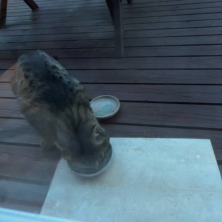 Be017dd1 a828 4304 9507 c006a5326613 1716371942288