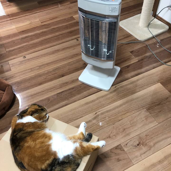 Be018b5c 4d6c 4452 a252 d0765b784ddb 1543238859260