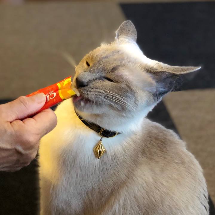 Be018c36 def1 4183 accc b234087964d4 1593177068920